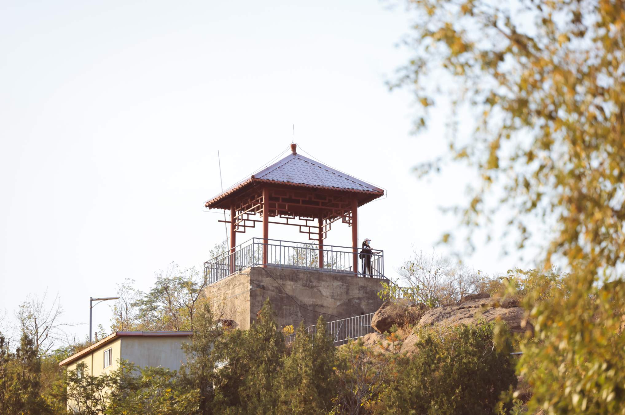 组图｜济南药山：闹中取静 秋意正浓