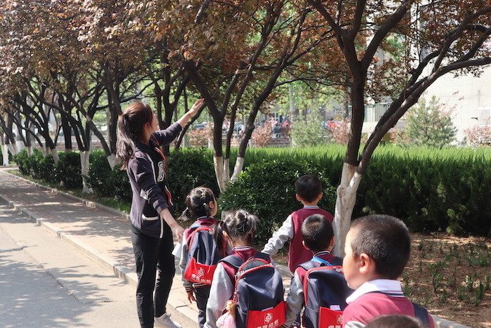 济南卓雅幼儿园春游活动:闲步大黉舍园 咏诵多彩春天