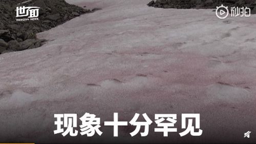阿尔卑斯山出现粉色冰川|【罕见】阿尔卑斯山出现粉色冰川 此现象源于一种来自格陵兰岛藻类