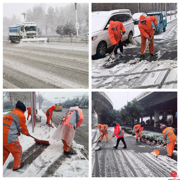 冲锋在前 闻雪而动 槐荫区各级党组织全力应对强降雪天气