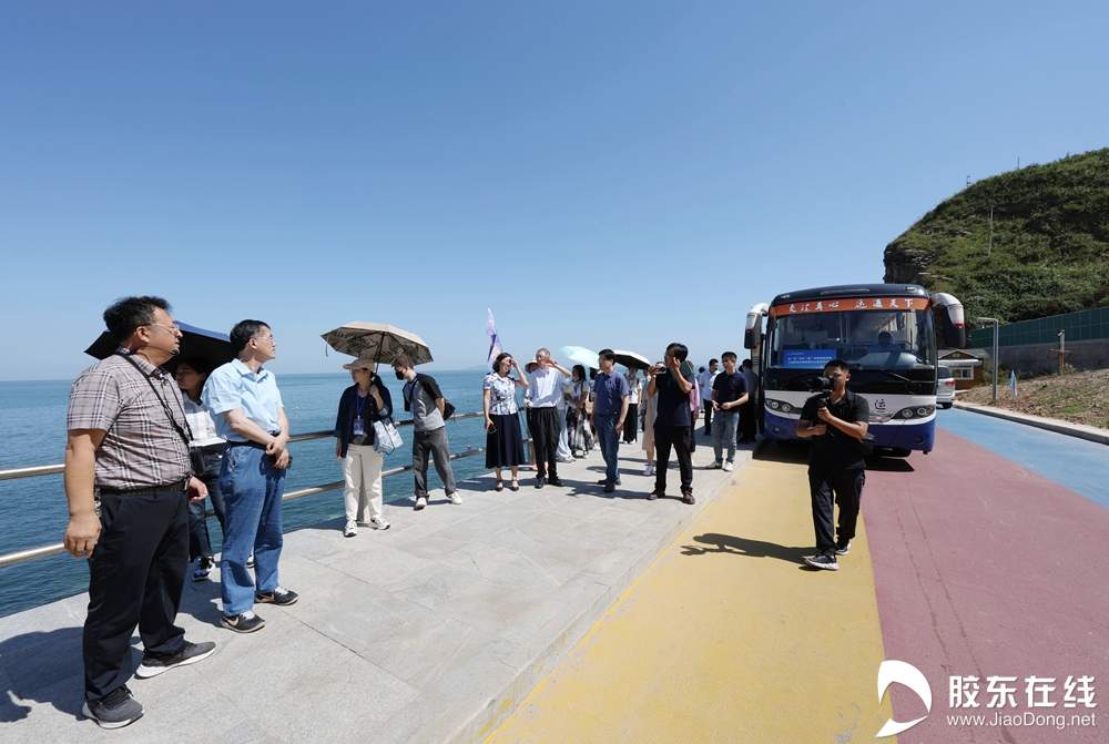 漫步“海滨慢道”，拥抱“生态长岛”