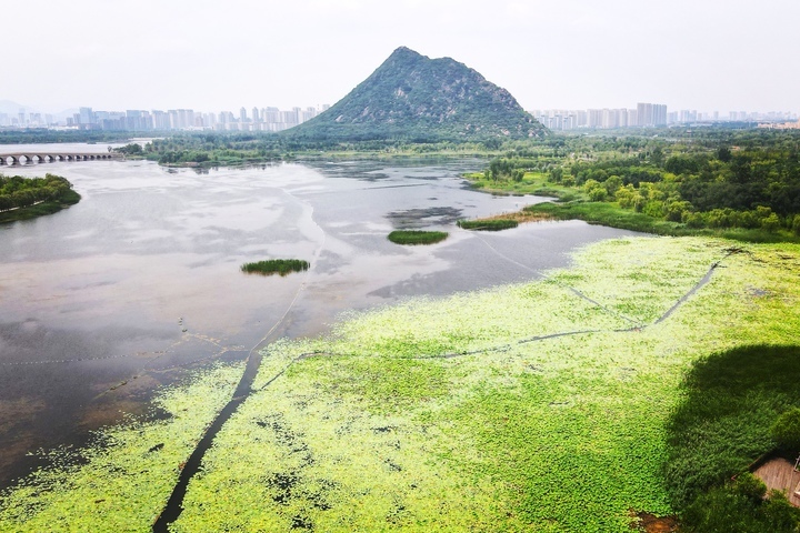 映日荷花别样红，湖光山色俏东城