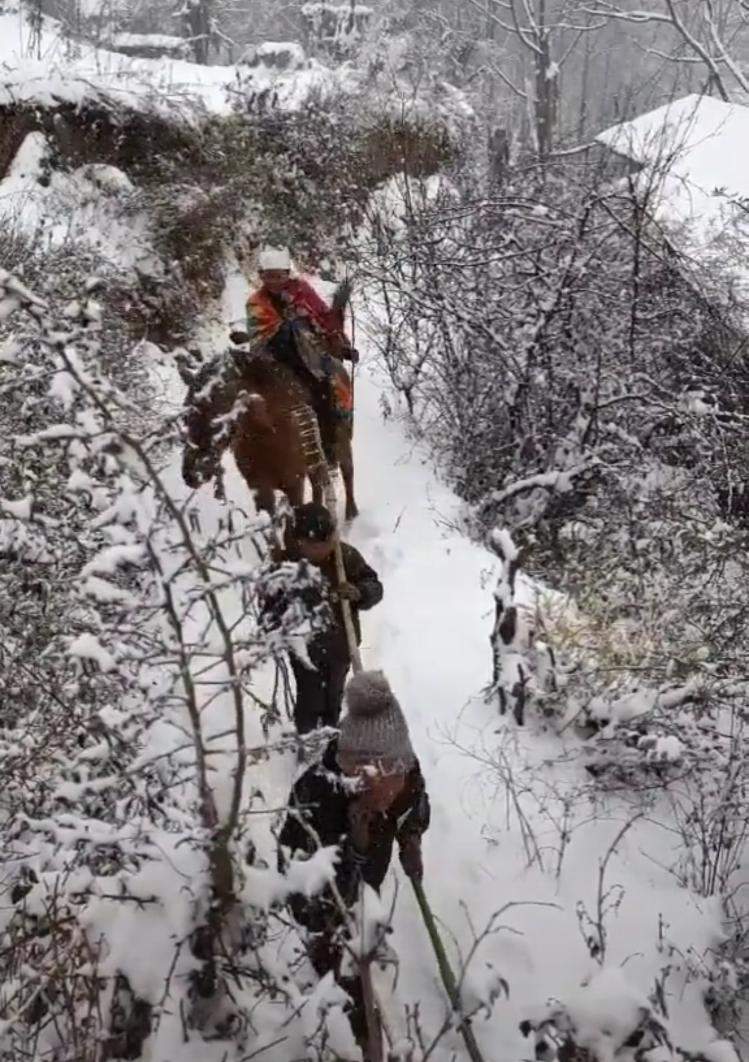“没有马的视频是没有灵魂的” ，凉山彝族娃“神还原”《西游记》