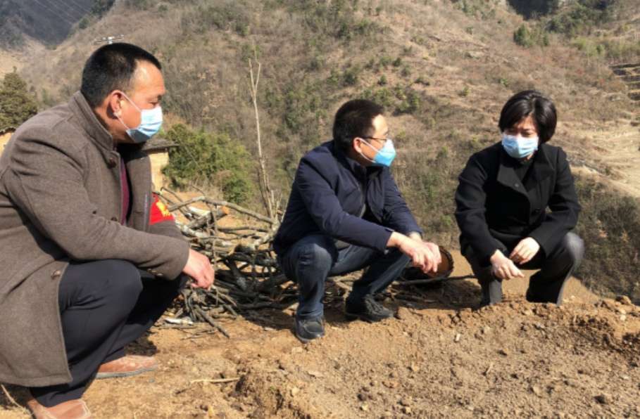 以组织之力筑脱贫之基——红色党旗引领绿色发展