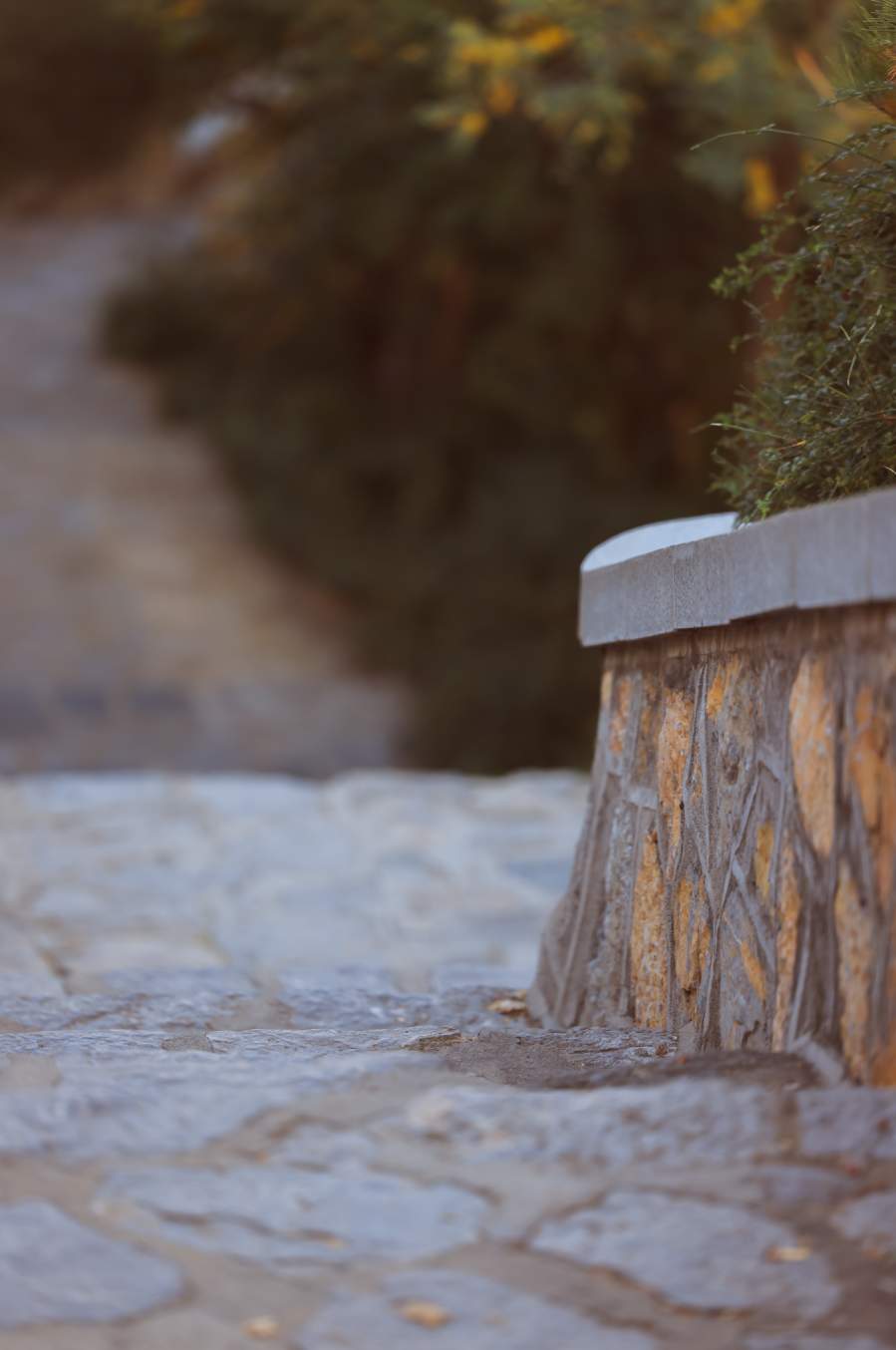 组图｜济南药山：闹中取静 秋意正浓