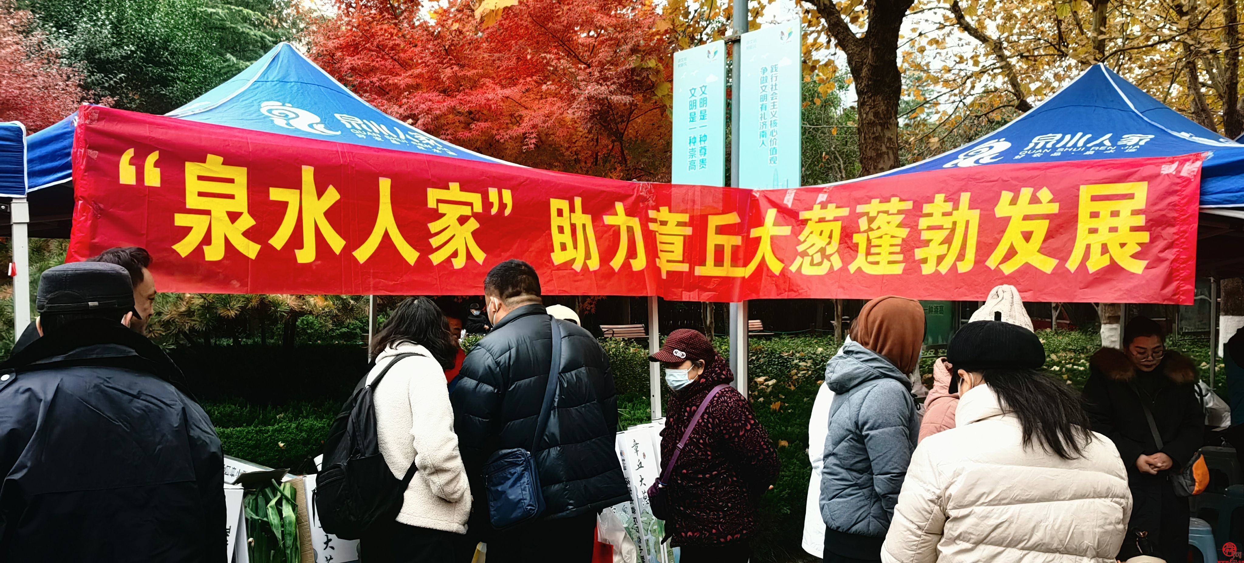 做好农产品的“传送带”  花圃公园里亮出“泉水人家”新冬景
