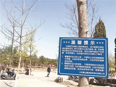 多个公园野菜被挖园内提醒喷洒农药 挖菜者：回家洗洗