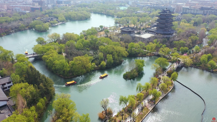 泉水欢歌 花海如潮 人间四月天感受最美济南春色