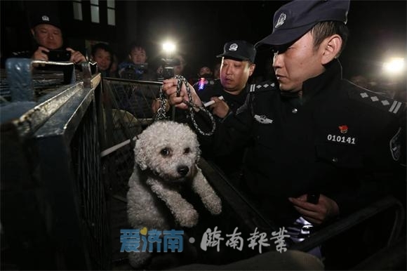 第二波罚单已经送达！您还心存侥幸违法养犬、不文明养犬吗？