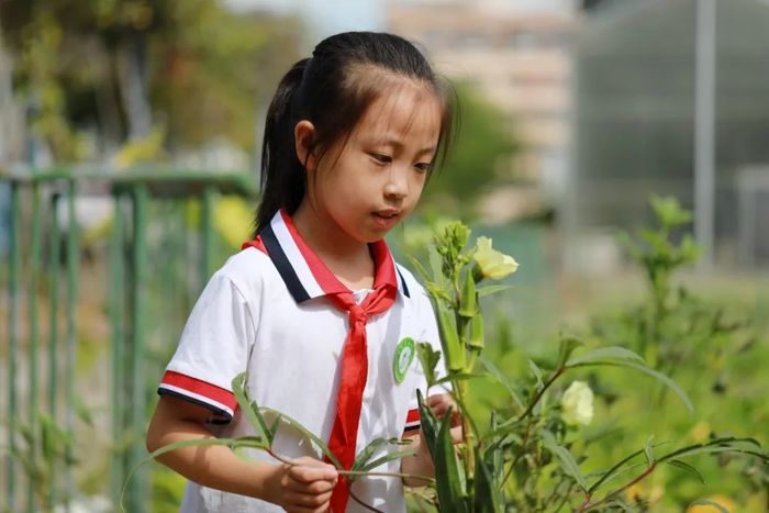 福泰小学优秀学生高一弘：千帆竞发 奋楫者进