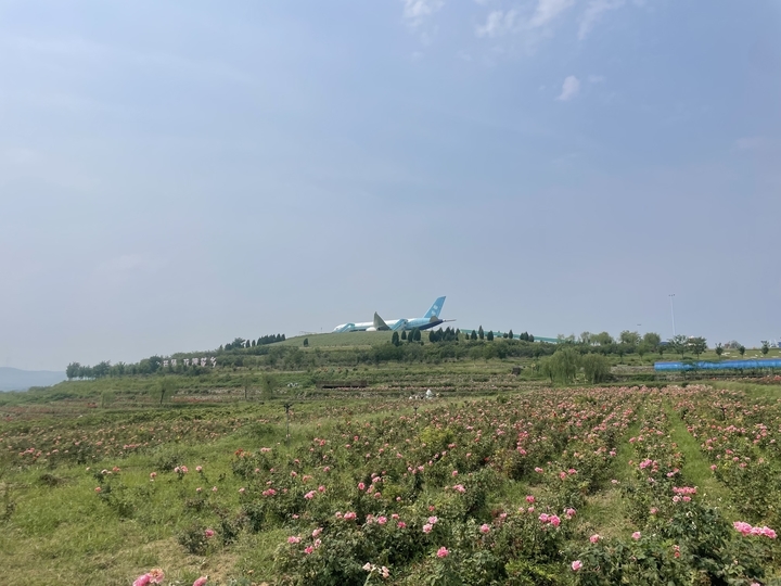 来这里尝尝玫瑰鲜花饼，泛舟“小江南”