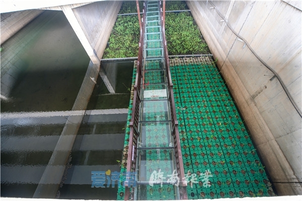 泉视界丨腊山河首个玻璃栈道建成 汛期河道泄洪延缓开放