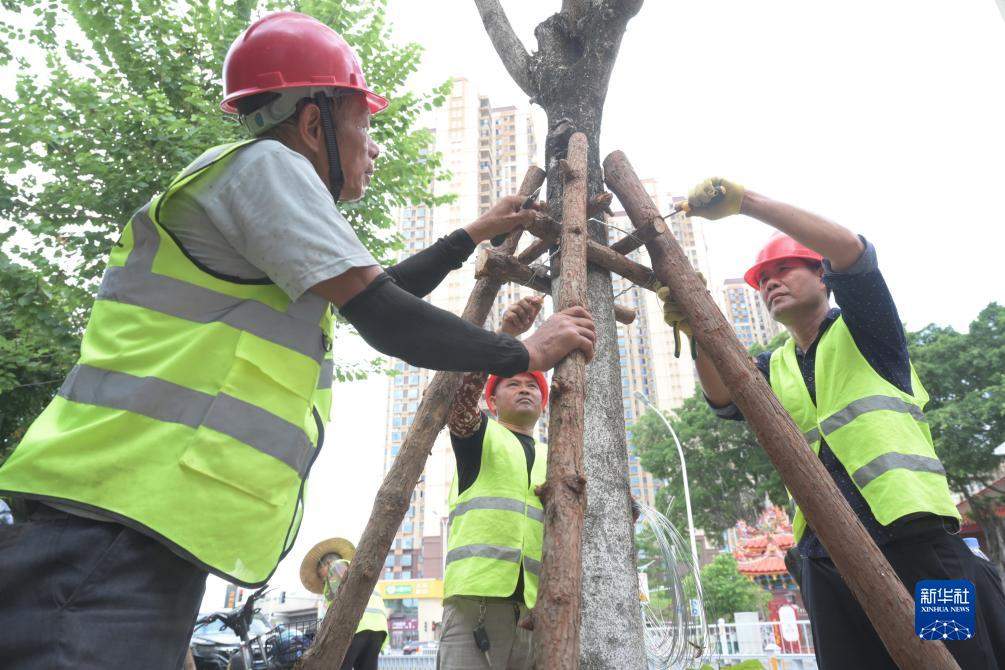 今年首个台风红色预警发布 “杜苏芮”影响几何？