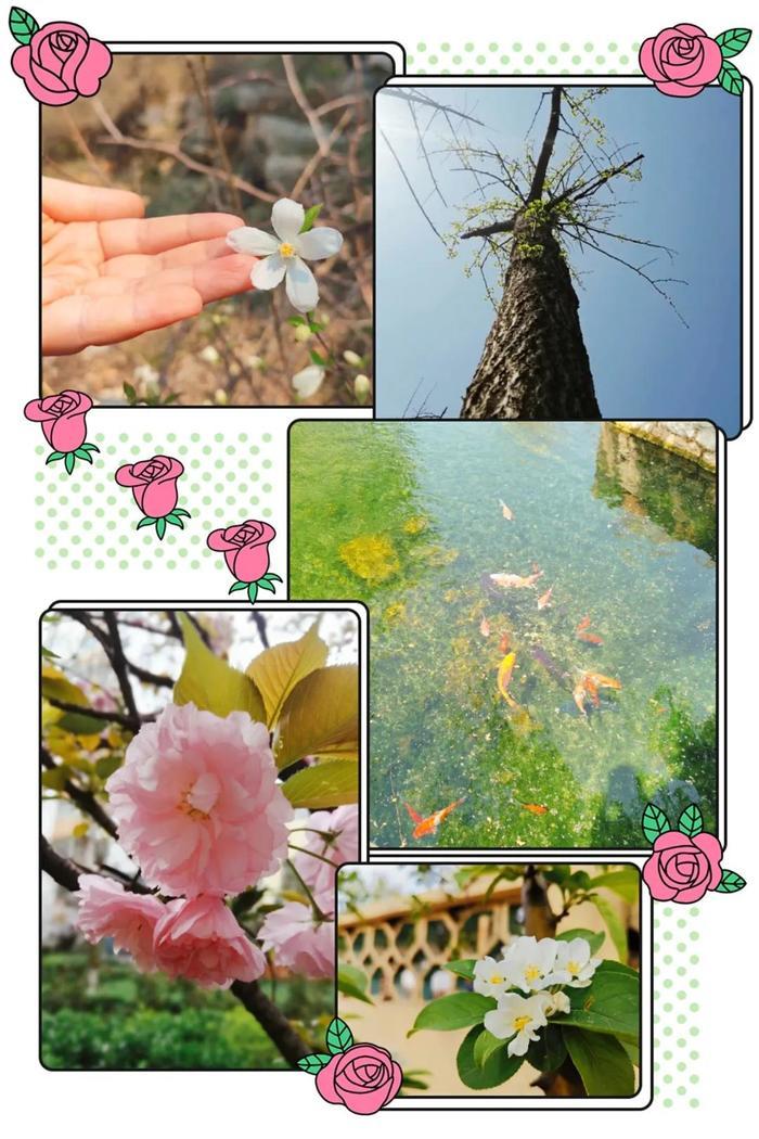ѰҴ֮ ССˡһʵ׽̼ΪԻ