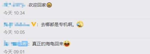 操碎了心!大熊猫贝贝回国 听不懂中文(四川话)咋办?