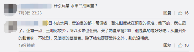 现在是讨论“葡萄自由”的时候了 日本拍出天价葡萄一粒约合人民币3200元
