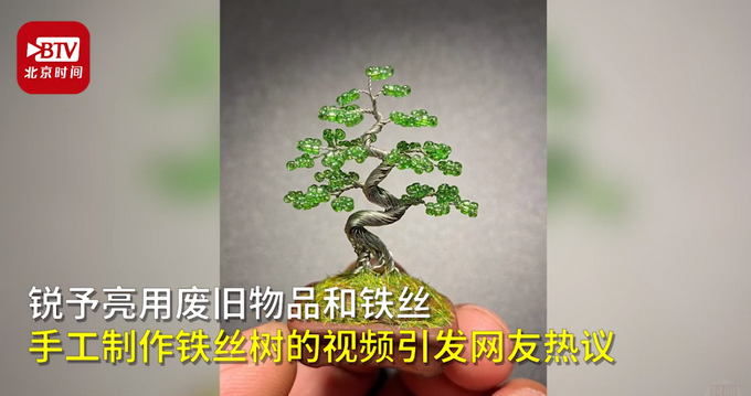 男子用铁丝diy盆景网友厉害了果然是行行出状元