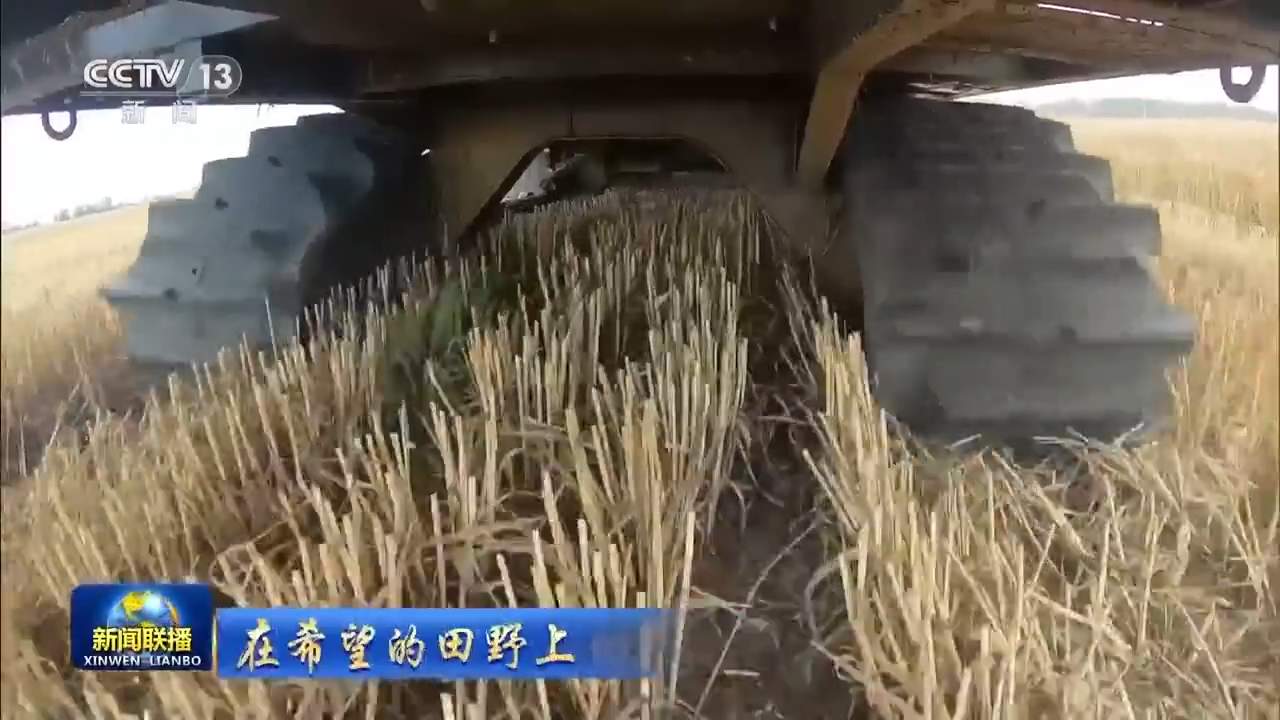 8.1亿亩！全国春播粮食进度约90% 5月底冬小麦将大面积收获