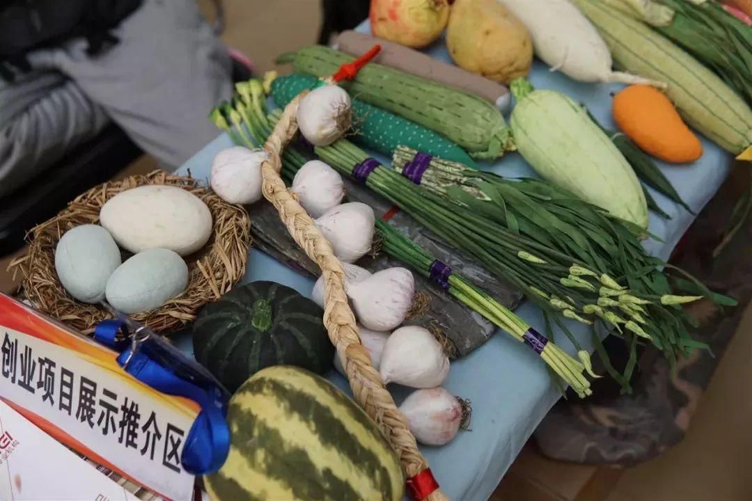 5000多个岗位等你选！山东省女大学生专场招聘人气爆棚！