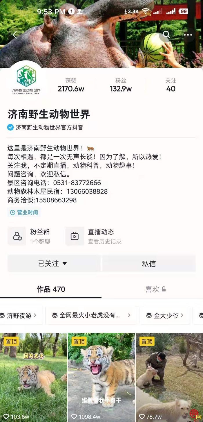 “网红”济南：文化与美食是济南名片，野生动物世界变身抖音达人