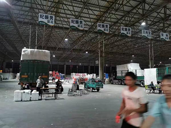 “蔬菜之乡”寿光的日与夜：集散全国蔬菜，近期供应充足