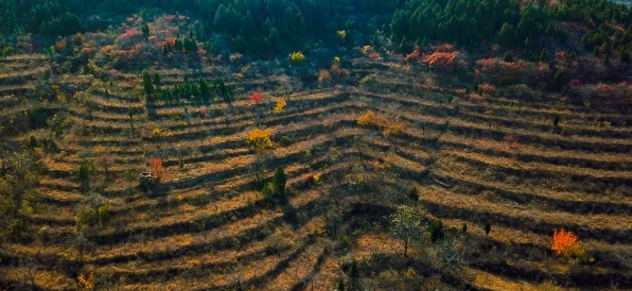 【飞阅泉城】沉醉于格桑花海 港沟蟠龙秋景美不胜收