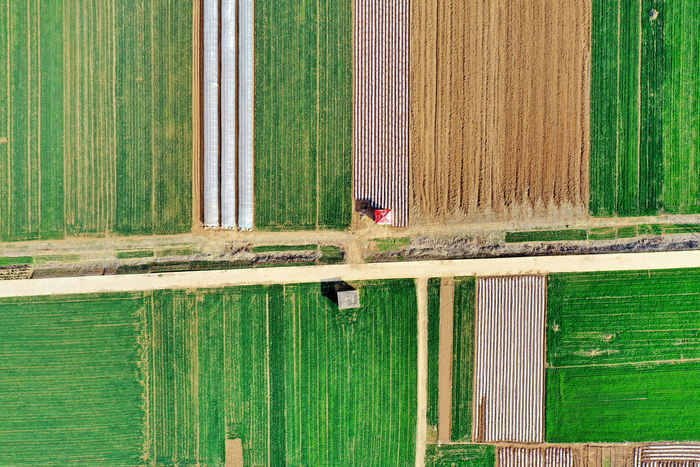 【春耕进行时】回看舜网记者带您走过的这些地方