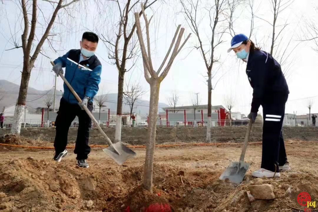 【能源精神】绿色能源“植”得期待