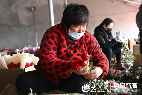 新春走基层：179万阅读量！17万订单！300万枝招贤玫瑰售出！
