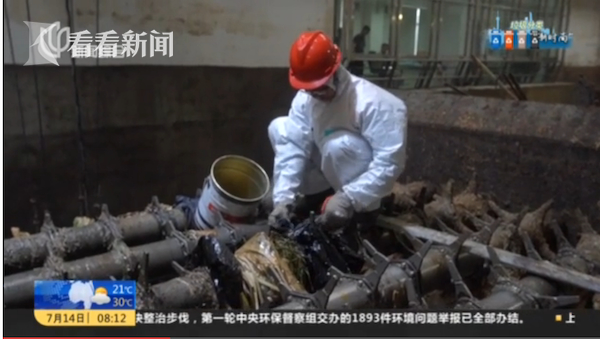 垃圾去哪了？这座湿垃圾处理厂每天发电4.5万度