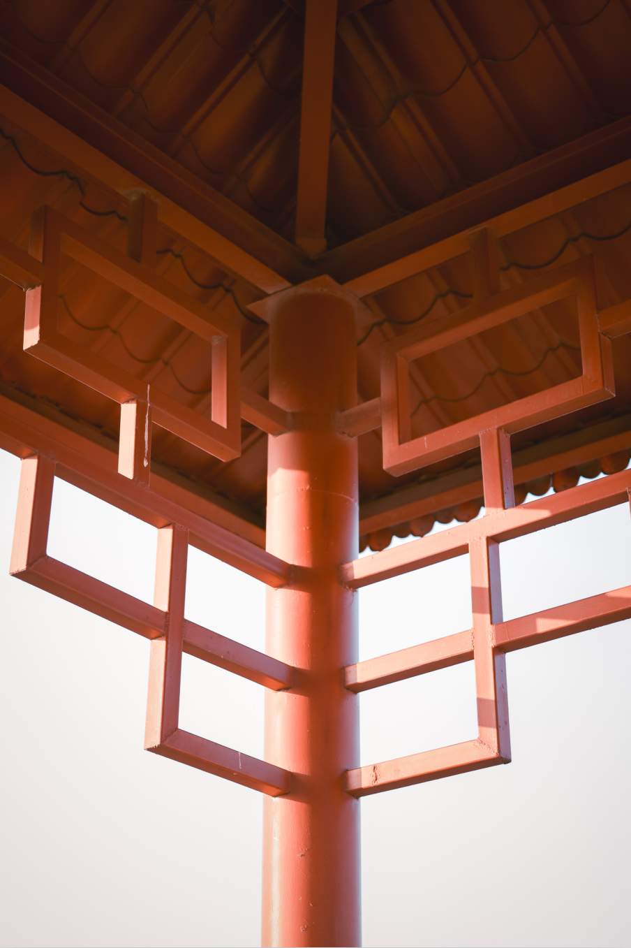 组图｜济南药山：闹中取静 秋意正浓