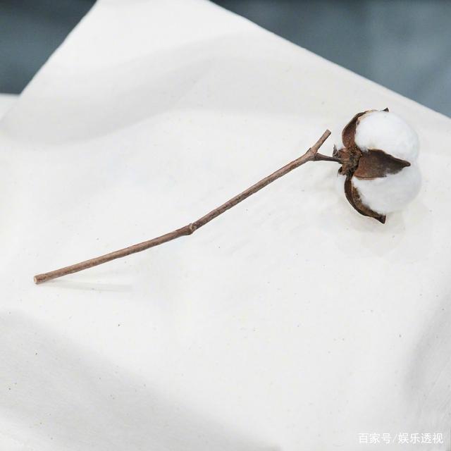 【看可推】王俊凯送的棉花被粉丝妈妈种了是怎么回事?具体什么情况？