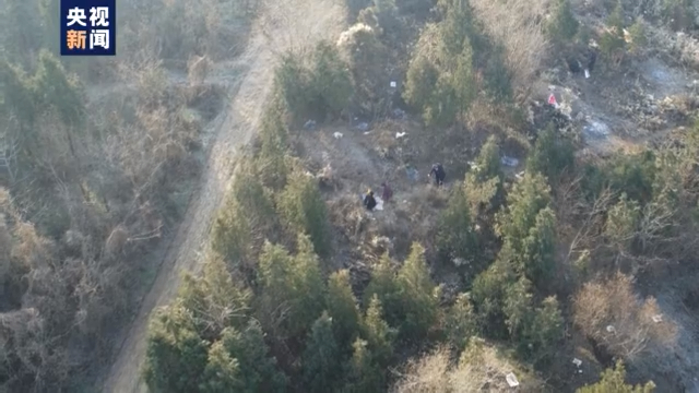 又到清明，因祭扫引发的森林火灾竟有这么多起？后果很严重