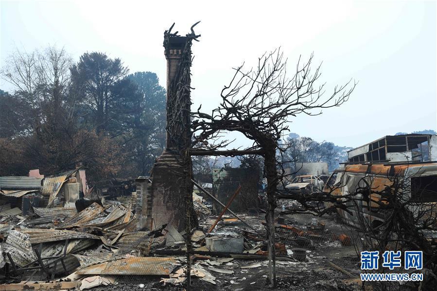 澳大利亚：探访林火过后的村庄