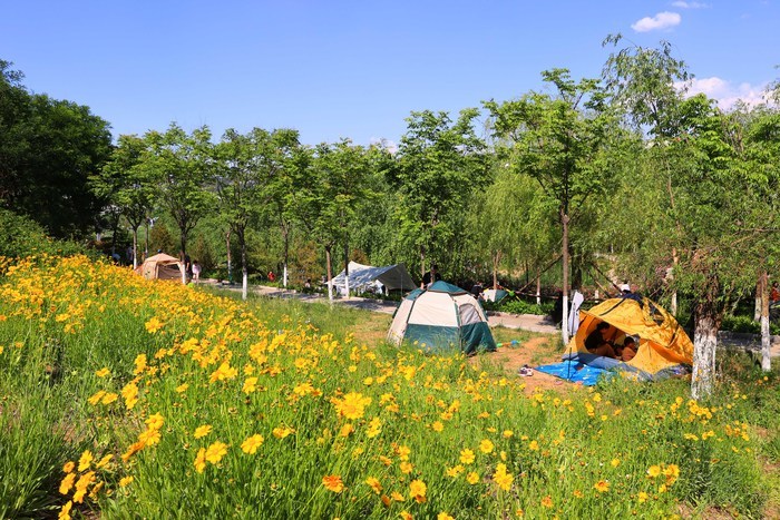 凤凰湖碧波荡漾 湖光山色景如画