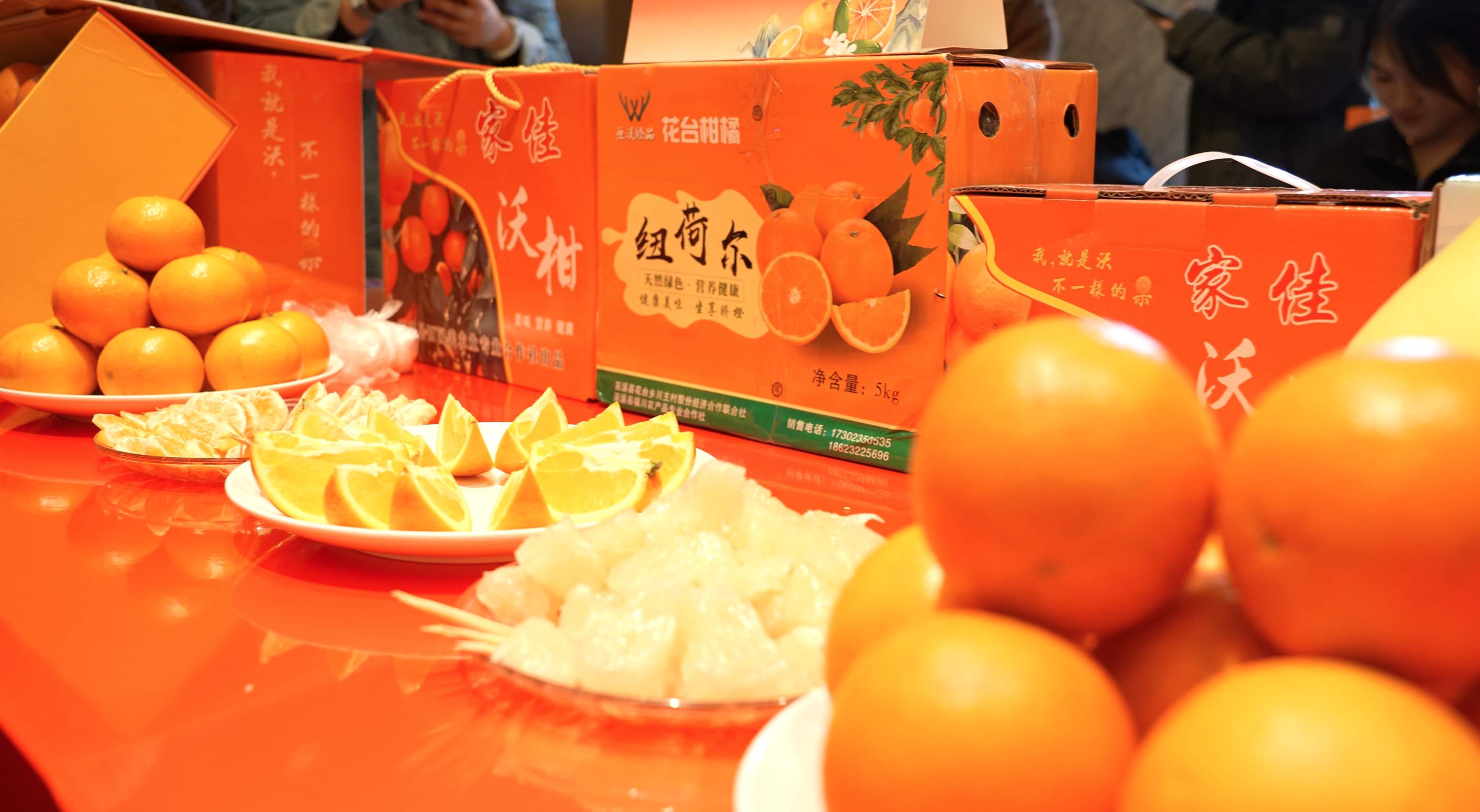 揭开橙红酸甜秘诀！重庆(巫山)柑橘推介活动走进山东烟台 近距离感受柑橘魅力