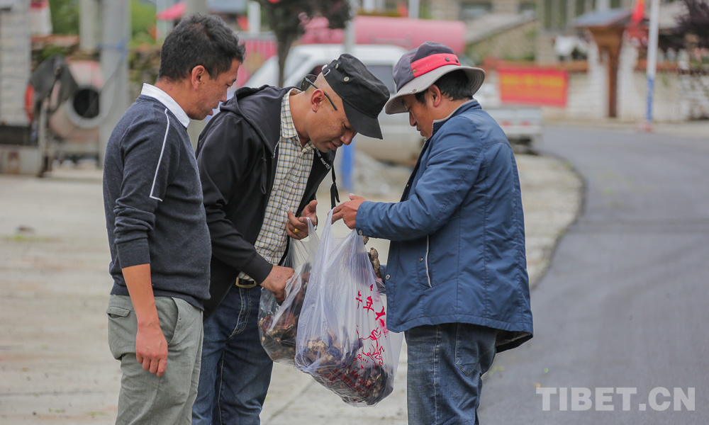 林芝市：百企帮百村助力农牧民致富奔小康