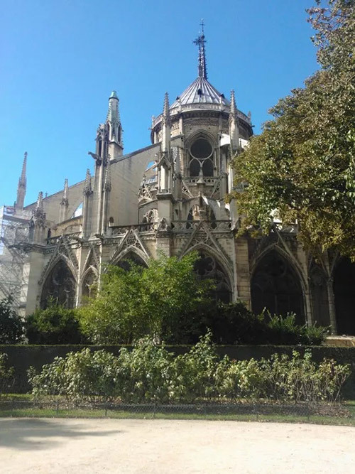 关于巴黎圣母院，可以告诉孩子这些~