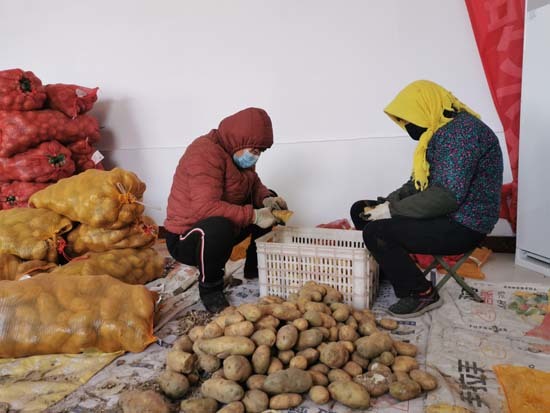 正是春耕好时机！全程机械化，播种200亩土豆仅需4天