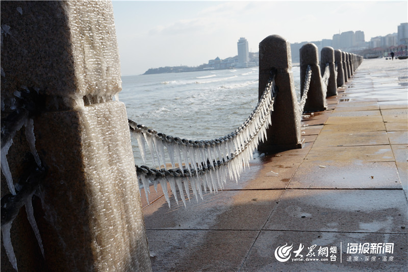 这就是山东丨冰凌、海鸥……大雪过后烟台的海边又美出了新高度