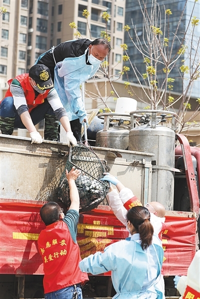 武汉人喜欢吃活鱼，活鱼来了