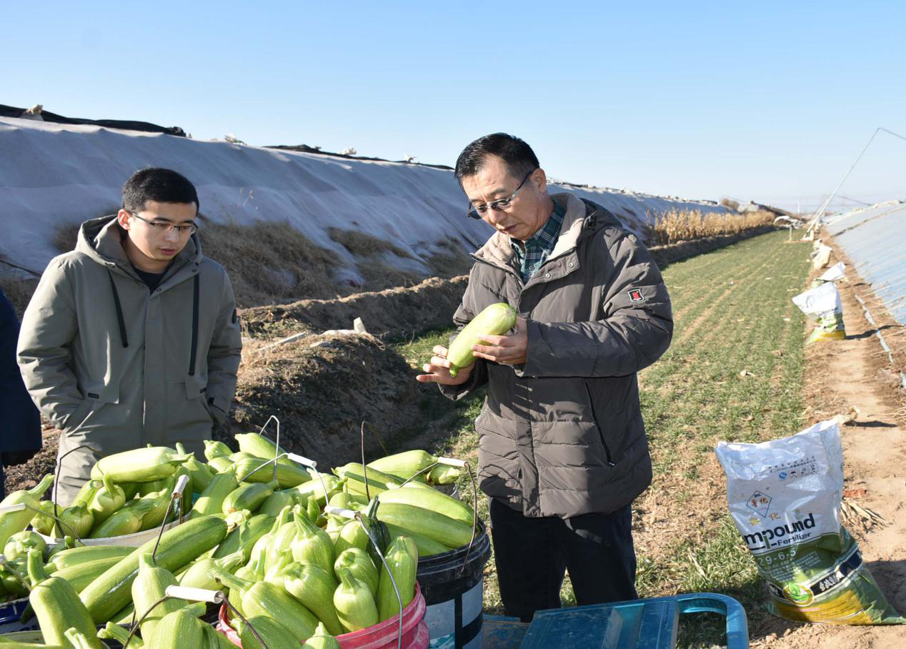德州市陵城区丁庄镇农产品暨“丁庄两湖”品牌 线上推介会成功召开