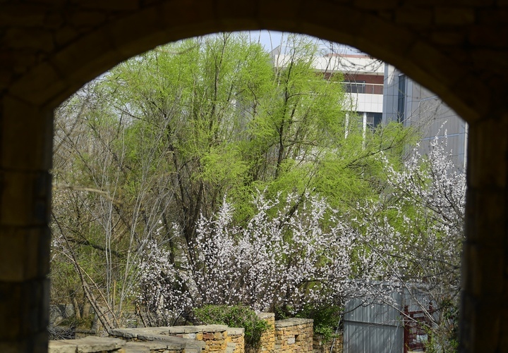 赏花看景两相宜，腊山河畔春色美