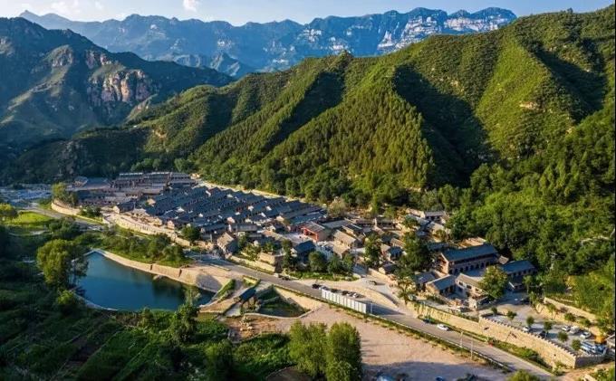 一枝一叶总关情丨骆驼湾：土豆香里话脱贫