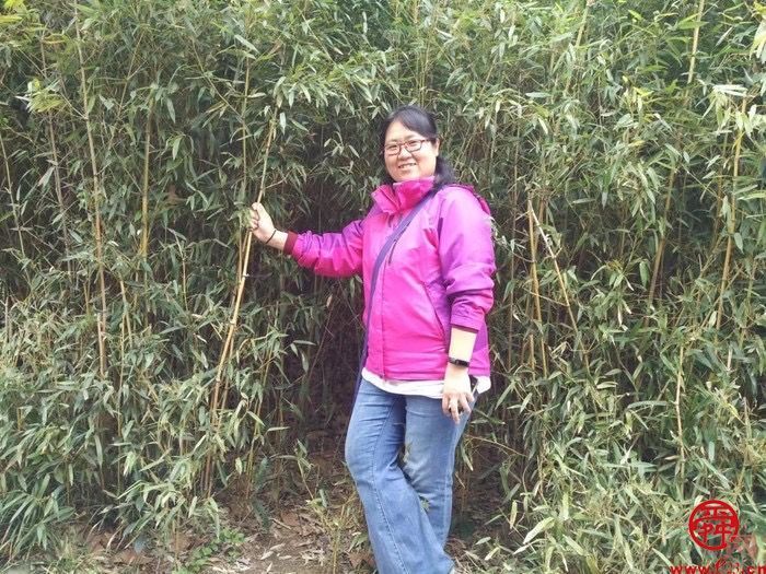 兵工人，不爱红装爱武装  记中国兵器工业集团公司北方材料科学与工程研究院第53所项目负责人朱洪立