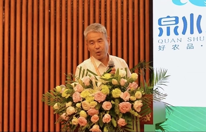 第20届东博会上，“泉水人家”绽放绿城