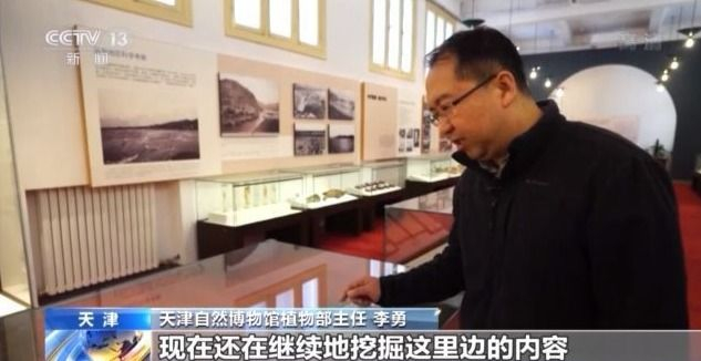 标本“活”起来 古动物明星圈粉百万 带你探秘天津自然博物馆
