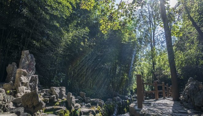 【泉·城】涌泉：竹林飞瀑 涌动不息