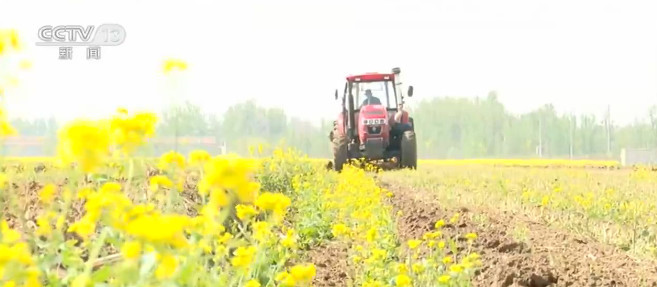 各地多举措助力春耕生产