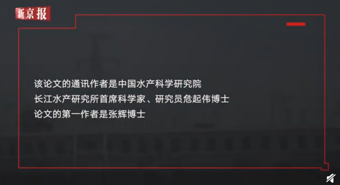 专家称长江白鲟灭绝？IUCN中国代表处：未官宣，6月发结果